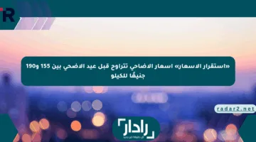 «استقرار الأسعار» أسعار الأضاحي تتراوح قبل عيد الأضحى بين 155 و190 جنيهًا للكيلو